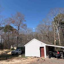 Tree-Removals-in-Easton-MD 4